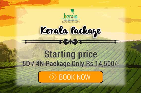 5 Nights 6 Days Kerala Honeymoon Packages